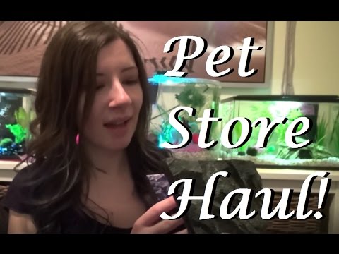 Aquarium Supplies & Decorations Haul! | NEW TANK!?
