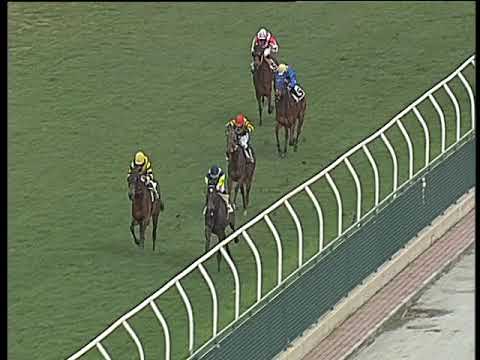 Galoppo 08/03/2018 - 1ª corsa