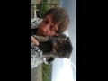 Cannibal cat 