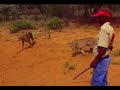 Angelina Jolie Safari 2001
