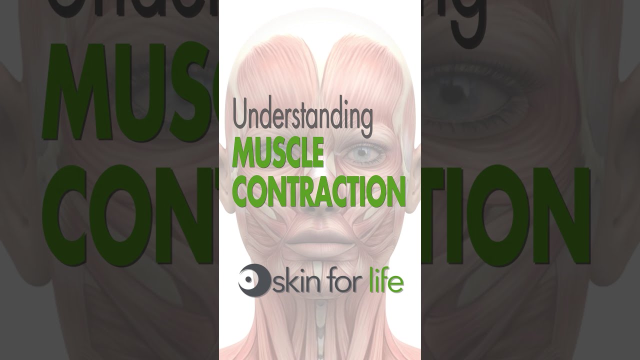 Understanding Muscle Contraction Using Microcurrent