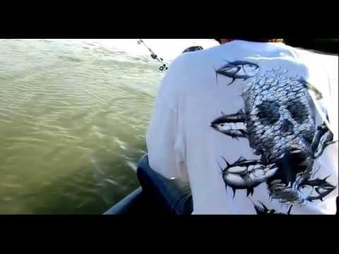 Вот это Сом!