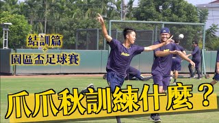 [稱讚] 爪爪足球隊