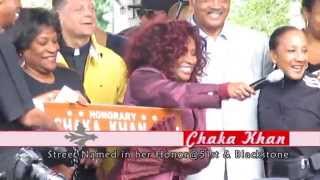 Chaka Khan Street Naming in Chicago