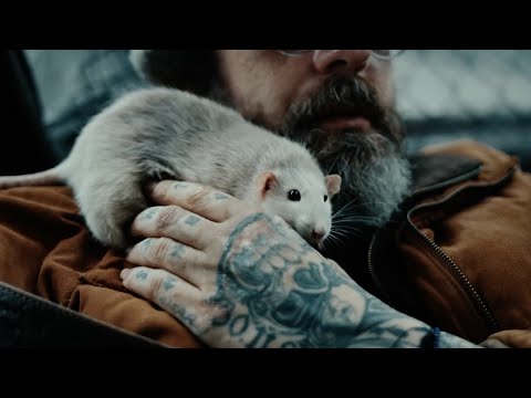 SIDO ft. HAFTBEFEHL & MARK FORSTER - GEMEINSAM GROß (prod. by CLASSIC)