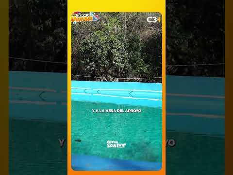 Talar de los Molles  un lugar para conectar con la naturaleza | Cadena 3 Argentina