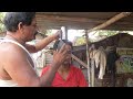 Bihar Village Style Head Massage With Neck Craking By Billu Barber