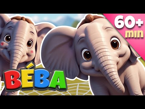 SLONI NA PAVUČINĚ | + další písničky pro děti | BÉBA