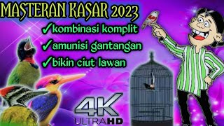 Download lagu masteran kasar 2023 || amunisi gantangan bikin ciut lawan || mastering murai batu mp3