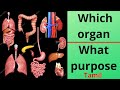 Human Organs Functions Which Organ What Purpose Tamil Anatomy