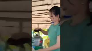 Download lagu senyum manis penjual kopi cantik|| cewek_cantik #storywa #kopi #ngopi mp3