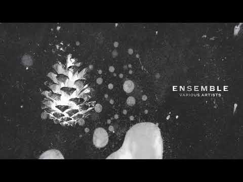 Oiseau de nuit - Makta | Ensemble [Saisons Musique]