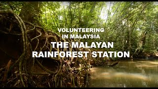 preview picture of video 'VOLUNTEERING IN MALAYSIA | THE MERAPOH RAINFOREST STATION (2019)'