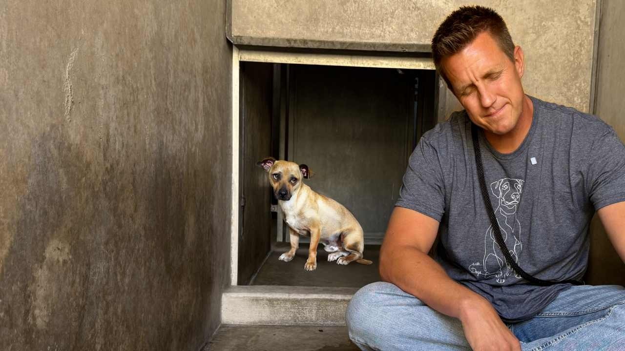 Watch Sweet Trembling Dog’s Reaction When I Pick Him Up 🥹