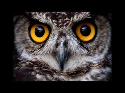 Matt Lynch ~ Somebody watching me (Original) [Raw recording]