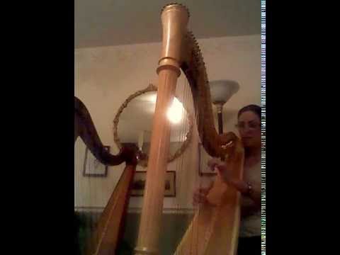 Promotional video thumbnail 1 for Anne Durant Harp