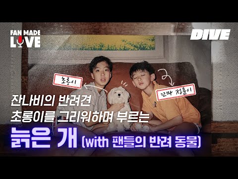 잔나비(Jannabi) - 늙은 개 | [Fan-made LIVE]