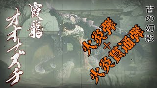 【モンスターハンターライズ】初見オオナズチ（火炎弾・火炎貫通ライトボウガン）