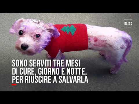 Debolezza generale con osteocondrosi cervicale Come trattare linfiammazione nervo della spalla