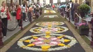 preview picture of video 'Alfombras de La Orotava 2009'