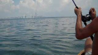 Mad Worm Fishing 8/29 - 2