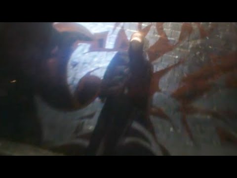 DJ Traytex - We Won't Back Down (Official Music Video)