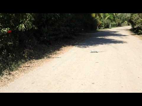 A journey thru Cabuya Costa Rica