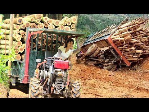 Agricultural vehicle, the difficult journey of a Vietnamese girl transporting wood #woodtruck #truck