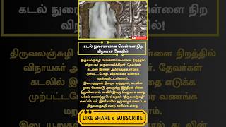 Temple video