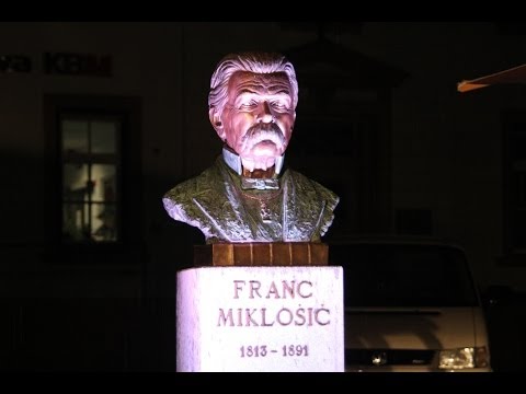 Odkritje doprsnega kipa Franca Miklošiča v Ljutomeru