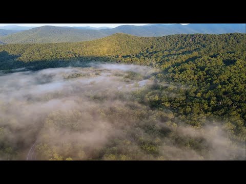 Prakrti - Prakrti  - Vše jedno je
