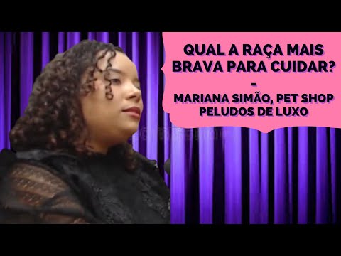 QUAL A RAÇA MAIS BRAVA PARA CUIDAR? - MARIANA SIMÃO, PET SHOP PELUDOS DE LUXO