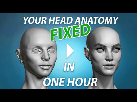 Fixing your female head anatomy mistakes