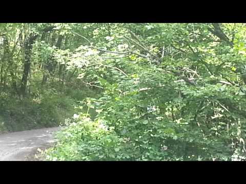 rally di modena 2014