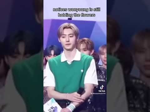 This cute moment🤭 #kpop #shorts #enhypen #ive #sunghoon #wonyoung #musicbank #jangkku