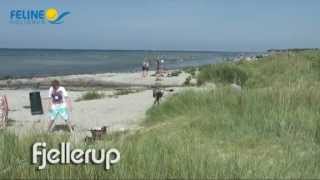 preview picture of video 'Urlaub Fjellerup Dänemark - Feline Holidays'