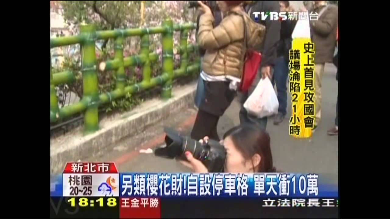 另類櫻花財！自設停車格　單天衝10萬