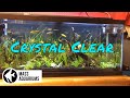 How to keep crystal clear water in your aquarium ...