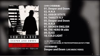 SCHAFT-「Deeper and Down」LIVE MUSIC VIDEOトレイラー