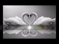 I do Cherish You Lyrics Mark Wills