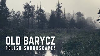 Video thumbnail for AT4022 SASS array - foggy morning on the Old Barycz River (Ługa River) by Polish Soundscapes