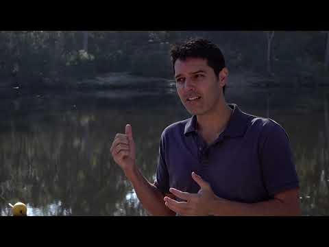 Lake Parramatta Reserve and recreation area