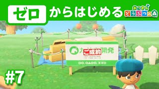 【10人目】2024年にゼロから始めるあつ森開拓#7【あつまれどうぶつの森】