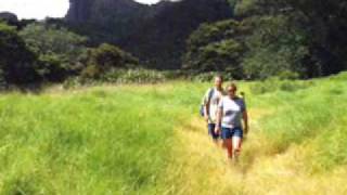 preview picture of video 'Walking the Wairakau stream track-Whangaroa Harbour'