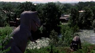 Return of the Swift Fox