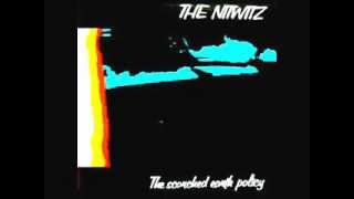 THE NITWITZ - perfect girl.wmv
