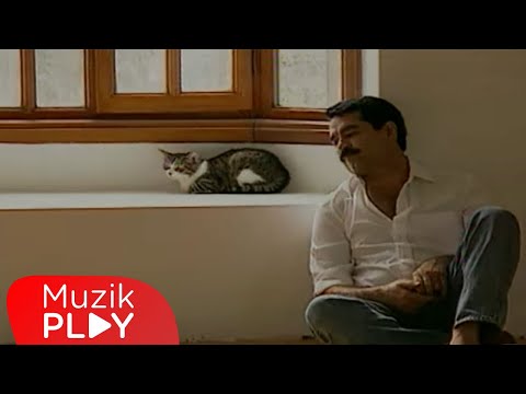 Video thumbnail for Nankör Kedi
