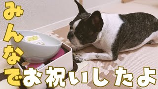 妻の誕生日だけどひまりさんもケーキ食べました🍰