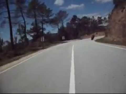 pampilhosa da serra   Tozé Lobo