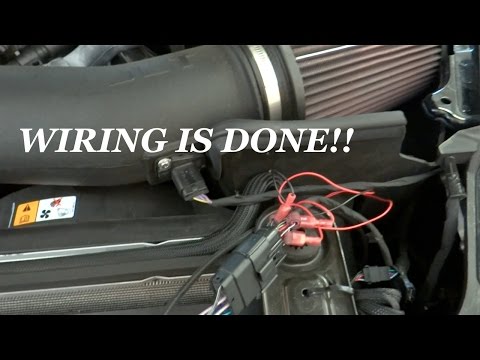 Diode Dynamics LED DRL Boards 2015-2017 Mustang (WIRING UPDATE!)